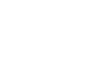 Vector