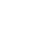 Vector